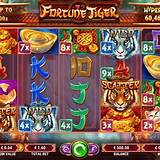 56d bet fortune tiger bet