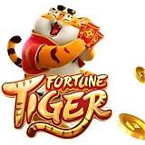 bet vera fortune tiger bet