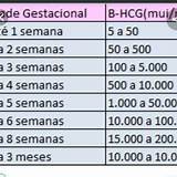 betfary