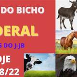 jogo do bicho federal lightning roulette
